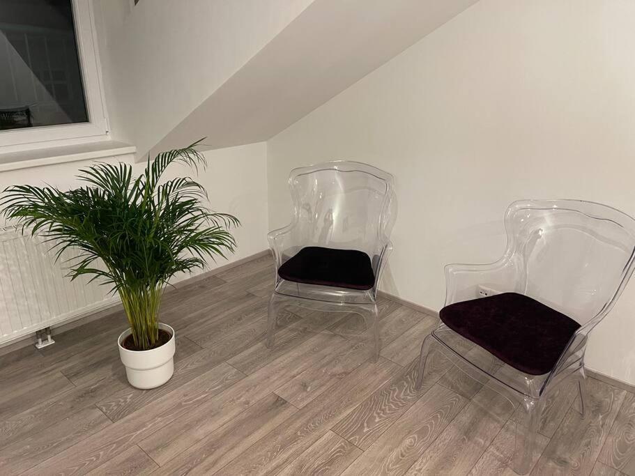 Dachterrasse Fuer 4 Personen * Vienna